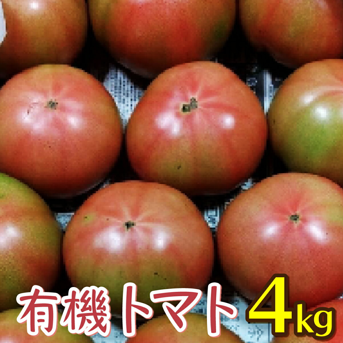 【ふるさと納税】有機トマト ＜4kg箱＞ 東洋町産 とまと ジューシー 高知 四国 お取り寄せ 家庭用 自宅用 送料無料 人気トマト 定番 甘い 新鮮野菜 トマト 美味しい 野菜 厳選 新鮮 甘い フルーツトマト トマト とまと 野菜 有機栽培IK-01-02