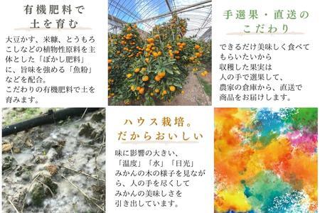 『予約受付』【令和6年6月上旬発送】夏の極上ハウスみかん「夏織」1.3kg  贈答箱・ギフトボックス入り ~海と空と、みかん~ 甘くてとろける夏の果物に ミカン フルーツ 柑橘