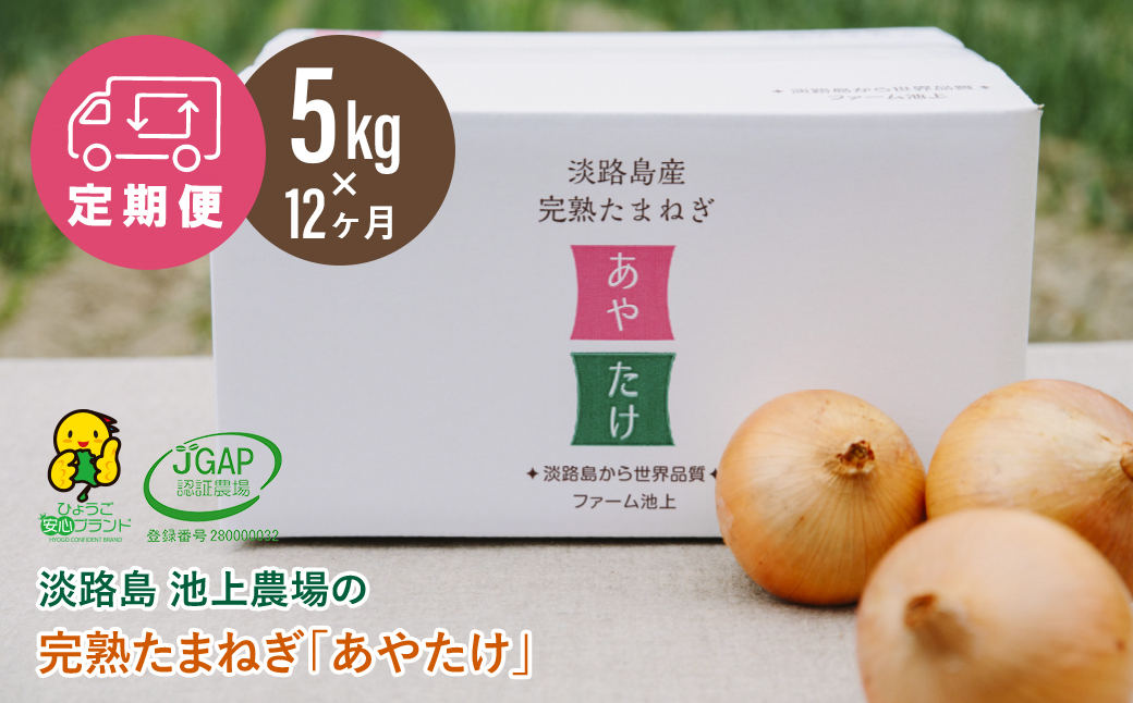 
                  【定期便】淡路島 池上農場の完熟たまねぎ「あやたけ」5kg　12ヶ月コース
                