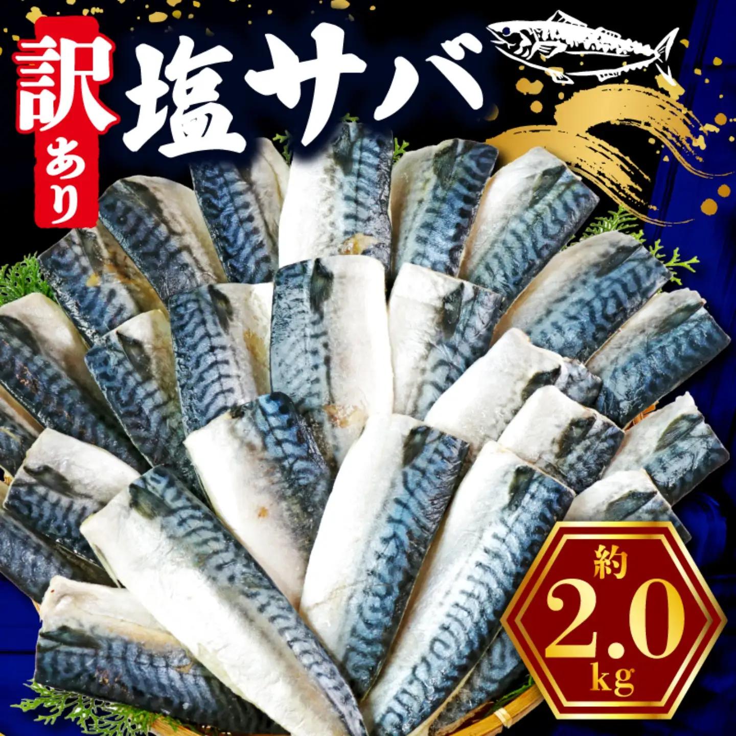 訳あり 塩鯖 2kg 鯖