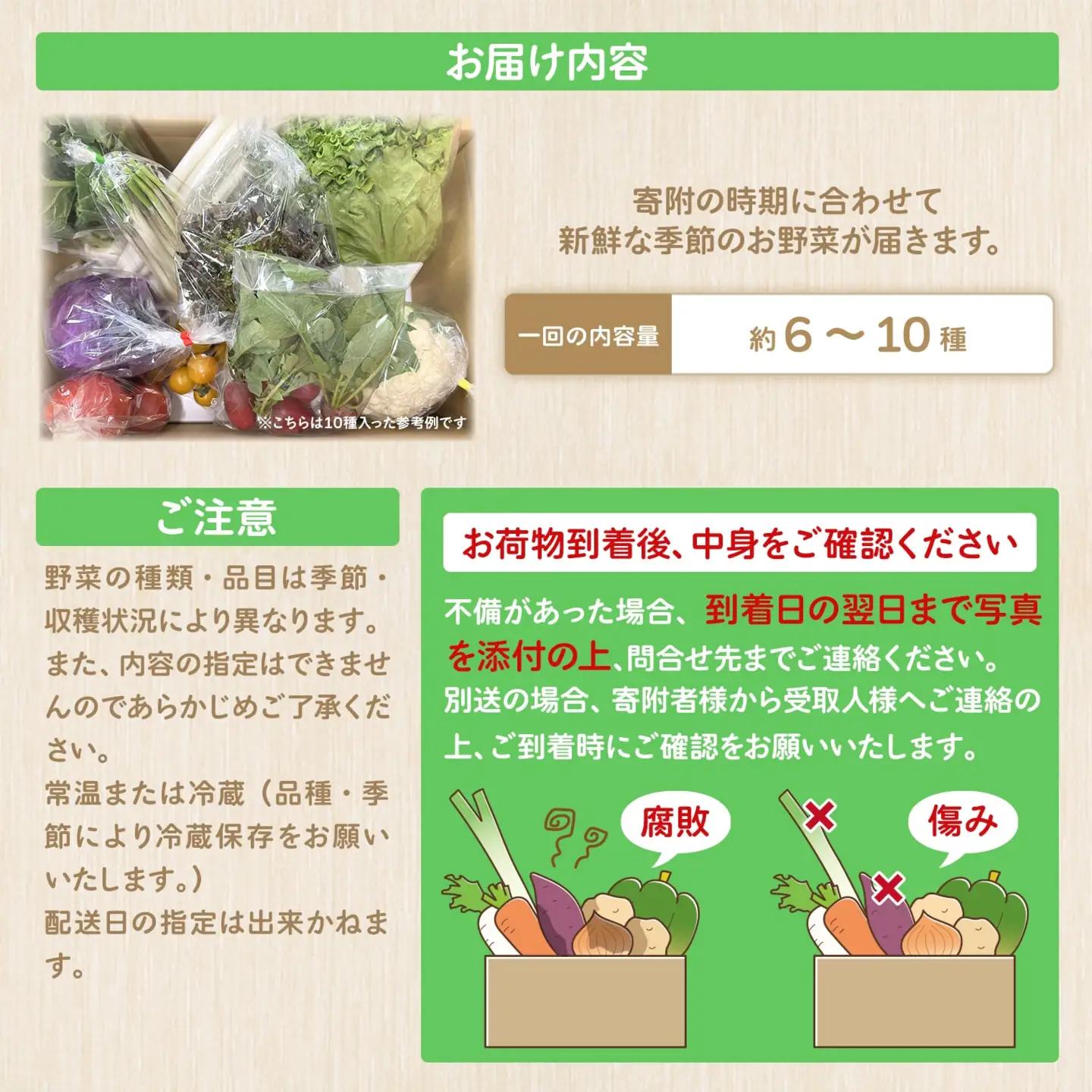 K1665 季節の野菜 「道の駅さかいオリジナル」駅長おすすめ野菜セット