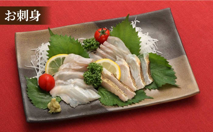 【幻の超高級魚をご家庭で】 養殖 クエ まるごと 1.5kg×2尾 鮮魚 魚介類 【豊建設株式会社】 [RAE003]