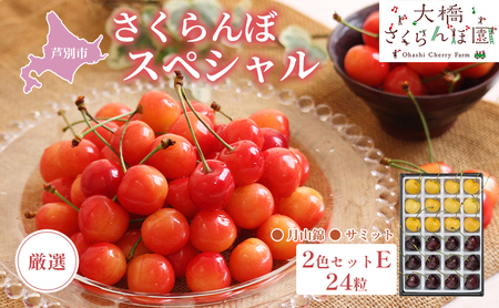 先行予約 厳選 さくらんぼ スペシャル 2色 セット E 24粒（黄・黒） 月山錦 サミット フルーツ 果物 季節のフルーツ 旬 旬のフルーツ 夏 化粧箱 ギフト 贈り物 贈答 プレゼント 冷蔵 冷蔵配送 北海道 芦別市　お届け：2025年7月中旬頃～