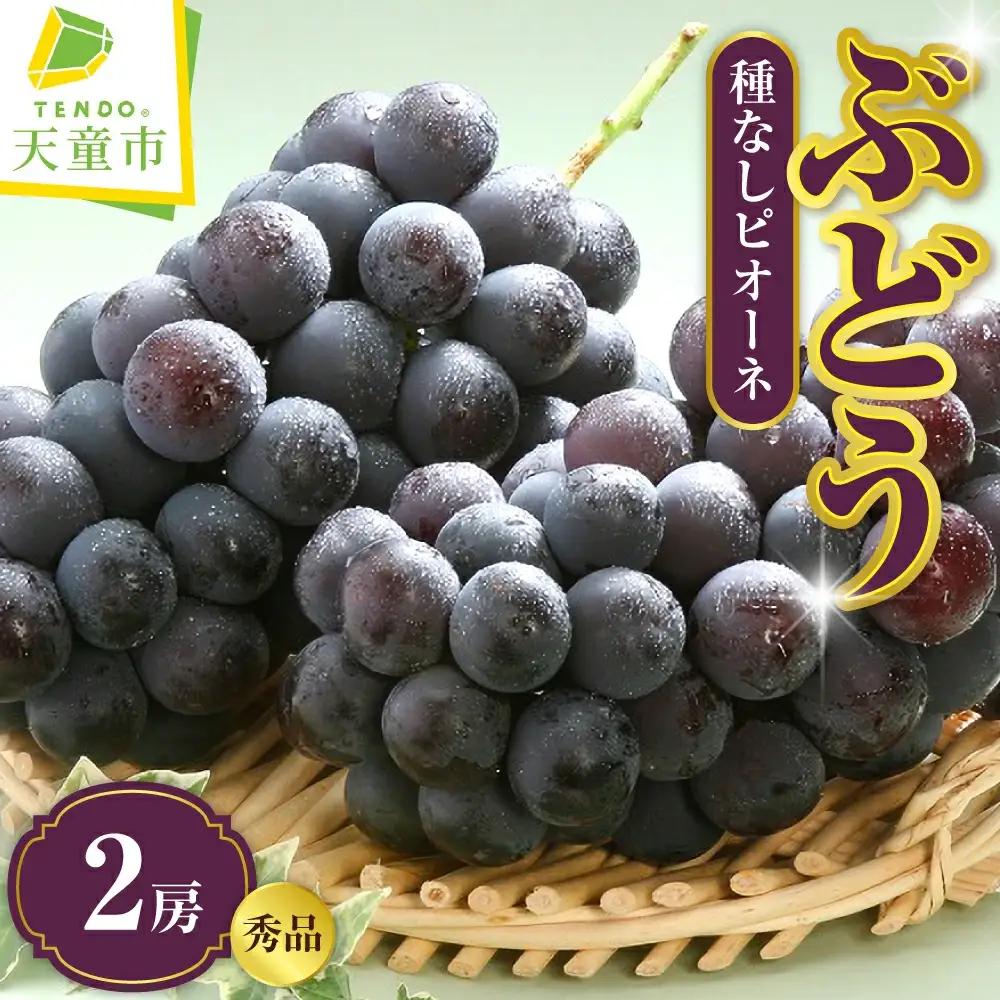 ぶどう ( 種なし ピオーネ ) 1kg フルーツ 果物 山形 ブドウ