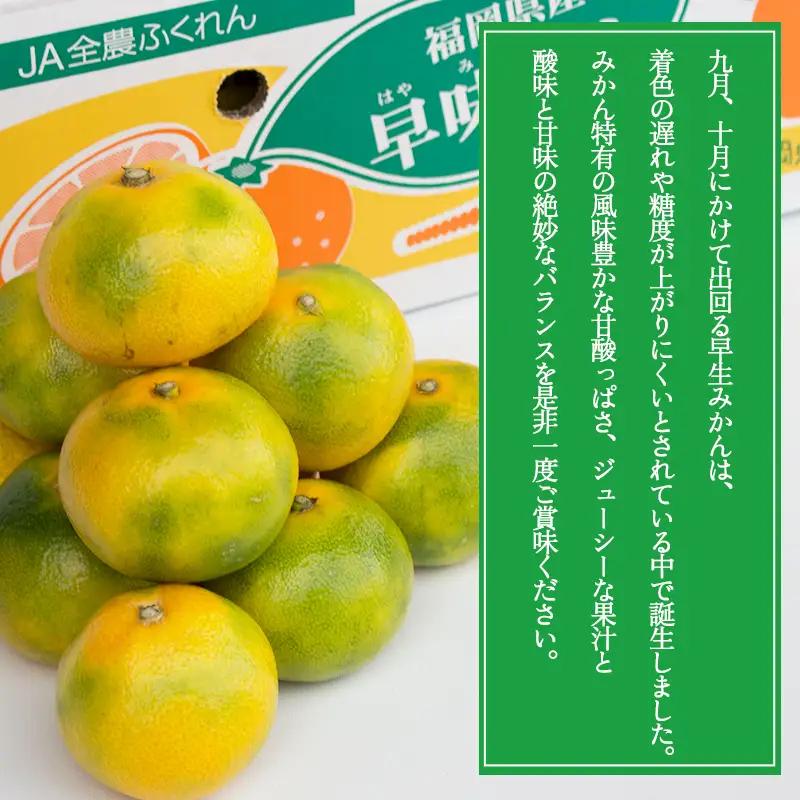 福岡ブランドみかん・早味かん約4kg 4A17