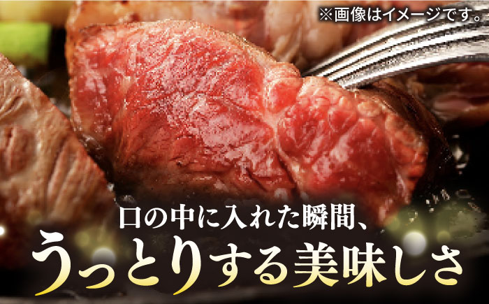 【お中元対象】壱岐牛 A5ランク ギフトセット 《壱岐市》【KRAZY MEAT】 [JER041] ステーキ 厚切り 赤身 希少部位 お肉 黒毛和牛 セット 贅沢 のし ギフト