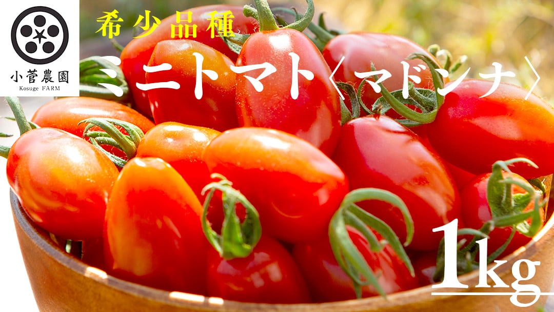 
            ミニトマト（マドンナ）約1kg 【1月下旬発送開始】 ミニトマト マドンナ とまと リコピン トマト 野菜
          