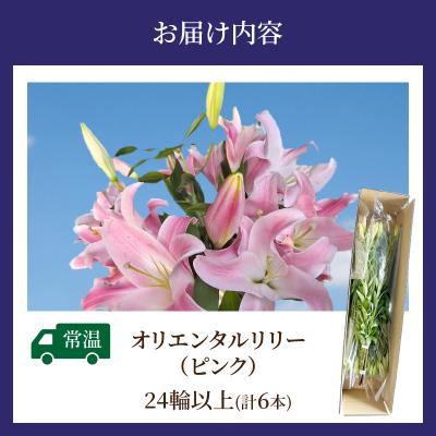 ふるさと納税 都農町 【2週間以内発送】「オリエンタルリリー ユリ」(ピンク) 計6本 百合 国産_T045-0021 |  | 03