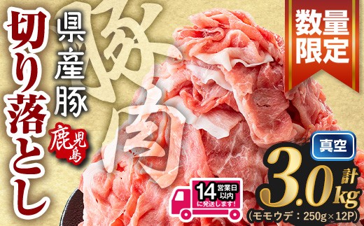 ＜14営業日以内に発送予定＞鹿児島県産 豚肉切り落とし (計3.0kg) 真空パック 豚肉 切り落とし【Rana】A1016-v02
