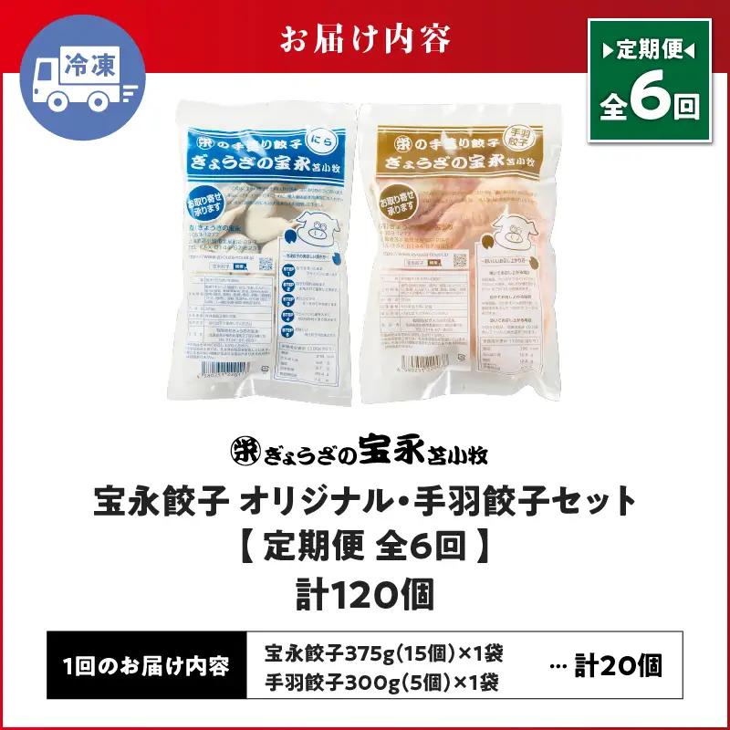 【定期便・全6回 毎月】手包み餃子 ぎょうざの宝永 手羽餃子20個セット（宝永餃子15個入×1袋・手羽餃子5個入×1袋） T004-T06-01-04 定期便 定期 惣菜 総菜 餃子