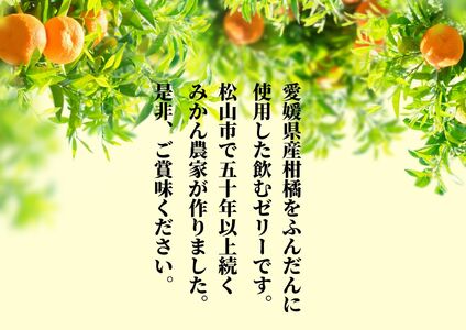 【おまかせ10種】飲むみかんゼリー 詰め合わせ　( ゼリー フルーツ 果物 みかん オレンジ 柑橘 愛媛県松山市 愛媛県 松山市 愛媛 松山 ゼリー フルーツ ゼリー 果物 ゼリー みかん ゼリー オ