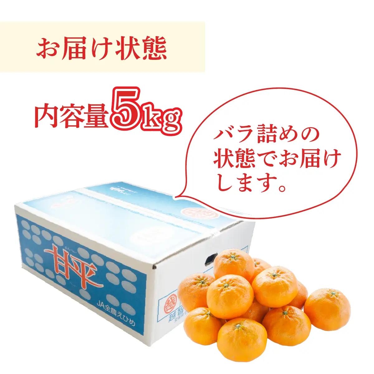 みかん ＜先行受付＞ 甘平 かんぺい レギュラー箱 5kg 愛媛