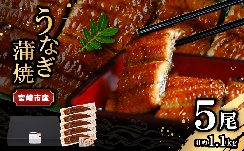 宮崎県宮崎市産　うなぎの蒲焼　約1.1kg（約220g×5尾）タレ・山椒セット 国産 うなぎ 蒲焼き 5尾 鰻 ウナギ 蒲焼 うなぎ蒲焼 うなぎ蒲焼き タレ 山椒 冷凍 パック 電子レンジ レンジ ひつまぶし 鰻巻き 惣菜 お惣菜 おかず 化粧箱 化粧箱入り ギフト グルメ お取り寄せ_M325-012