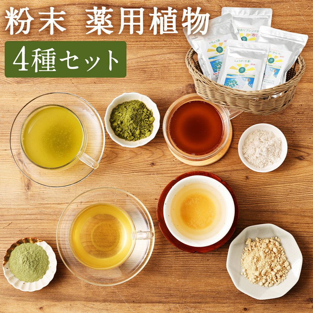 【ふるさと納税】【14営業日以内発送】粉末 薬用植物の人気 4種セット 計7袋 菊芋微粉末×2袋 銀杏葉粉末×1袋 欲張りブレンド（粉末）×1袋 生姜粉末×3袋 ショウガ キクイモ 薬草 薬用植物 植物繊維 健康食品 長崎県 長崎市 送料無料