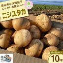 【ふるさと納税】【先行受付】 じゃがいも ニシユタカ 10kg [宅島ファーム 長崎県 雲仙市 item1126] 野菜 ジャガイモ 10キロ 馬鈴薯 春じゃが 長崎県産 期間限定