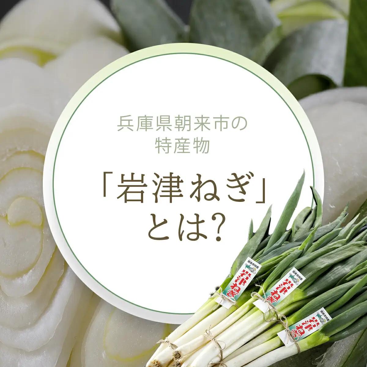 岩津ねぎラー油【10個セット】道の駅人気No1 食べるラー油 ネギ