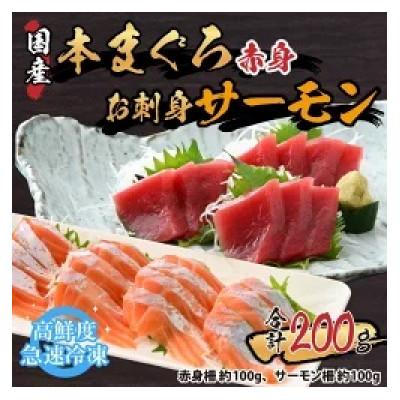 ふるさと納税 福井市 本まぐろ赤身(柵)100gとお刺身サーモン(柵)100gセット