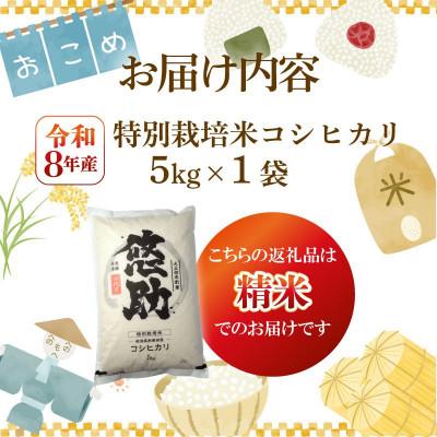 ふるさと納税 新発田市 【10月中旬頃〜発送】先行予約 令和8年産 特別栽培米コシヒカリ 精米 5kg |  | 01