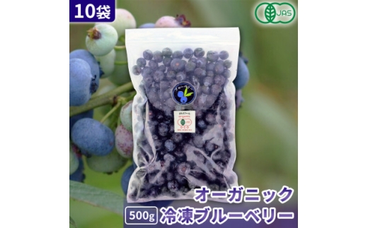 ＜令和8年8月以降出荷＞有機JAS認証 冷凍ブルーベリー5kg(500g×10袋)＜北海道十勝産＞【1677079】