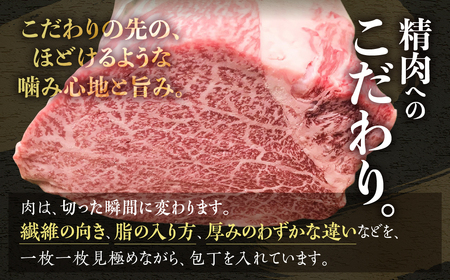 飛騨牛 シャトーブリアン 3回 定期便 / 牛肉 シャトーブリアン 定期 牛肉