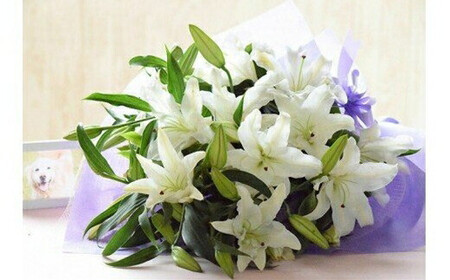 【定期便 12か月】月命日の花贈り定期便（12ヶ月）【 お供え フラワーアレンジメント 仏花 】