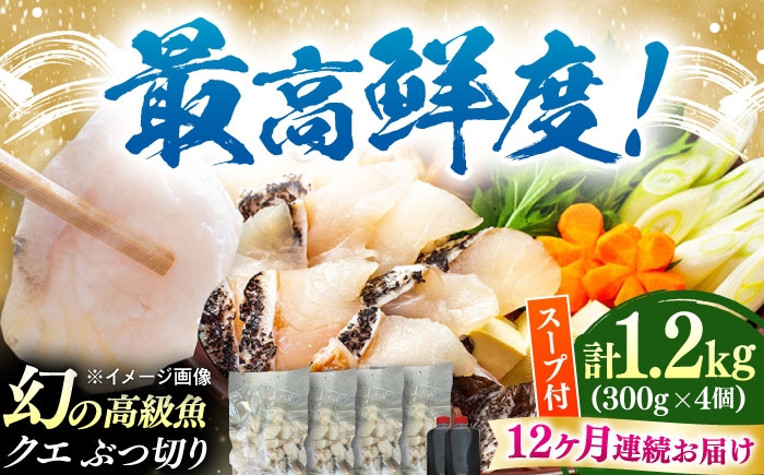 
                  【全12回定期便】対馬産 クエ ぶつ切り 1.2kg 鍋用スープ付《対馬市》【島本水産】高級魚 新鮮 肉厚 本格的 海鮮 鍋セット フライ 煮付け アラ [WBI021]
                