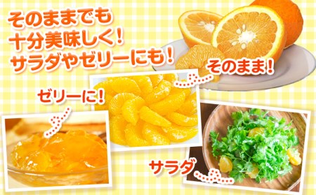 パック入り甘夏 10kg 甘夏