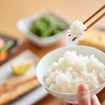 【蛇紋岩ブランド　華やか一膳5kg】