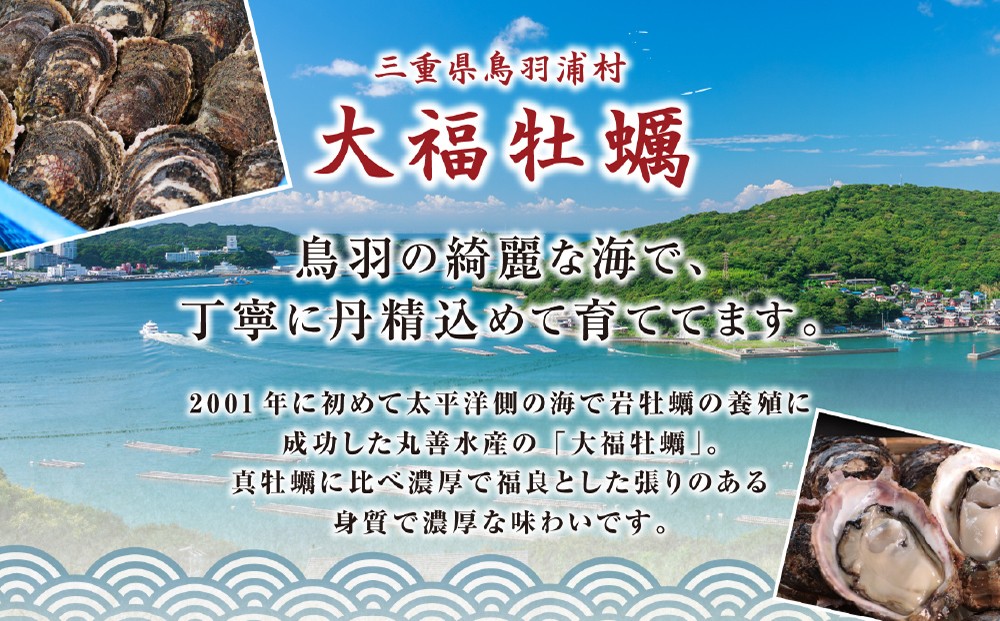 鳥羽の綺麗な海で育った大福牡蠣 岩ガキ