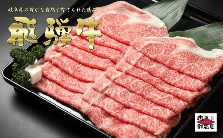 【冷蔵配送】飛騨牛食べ比べセット　5回　A4～A5・焼肉・しゃぶしゃぶ・すき焼き・牛肉