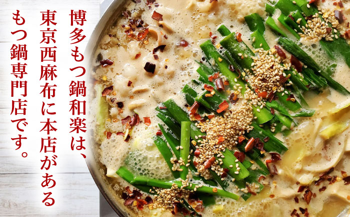 博多もつ鍋  味噌味（2～3人前）ちゃんぽん麺付き＜株式会社和楽corporation＞那珂川市 [GDV004]