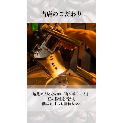 ふるさと納税 長洲町 季節の珈琲 400g(珈琲豆) |  | 01