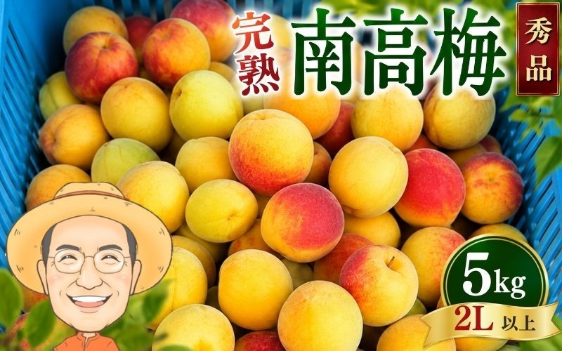 
                  【秀品】完熟 南高梅 約5kg (＋補償100g) 2L以上 カキエモン農園 【2027年6月中旬～6月下旬頃順次発送】 和歌山産 梅干し 梅酒 梅シロップ 果実 うめ 梅 ウメ カキエモン 農園 送料無料 なんこううめ なんこうばい なんこう梅 加工用 家庭用 紀州【BX-kkem016A】
                