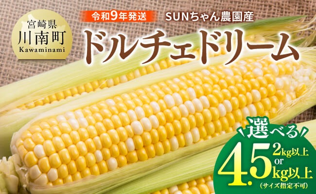 ※送付内容が選べる※【令和９年発送】SUNちゃん農園産「ドルチェドリーム（サイズ指定不可）」 【 とうもろこし ドルチェドリーム トウモロコシ 令和9年発送 数量限定 期間限定 】 [B13101 B13102 B13103]