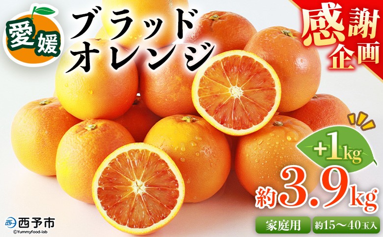 
                  【4/20受付終了】＜愛媛県西予市産 ブラッドオレンジ 家庭用 豊作 サンキューパック 合計約4.9kg（3.9kg＋1kg）＞感謝企画 訳あり ワケアリ 甘酸っぱい 柑橘 果物 フルーツ くだもの みかん ミカン 国産 サイズ不揃い 傷あり 食べて応援 宇都宮物産【常温】『2026年3月～4月下旬迄に順次出荷』
                
