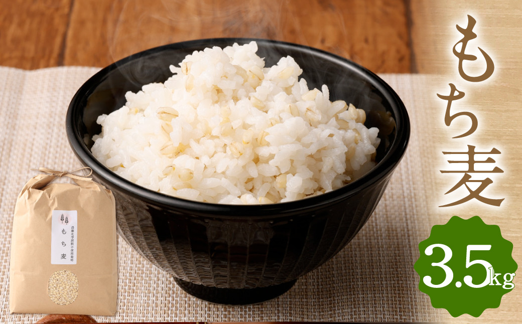 
もち麦 3.5㎏ 福岡県産 大麦 くすもち二条
