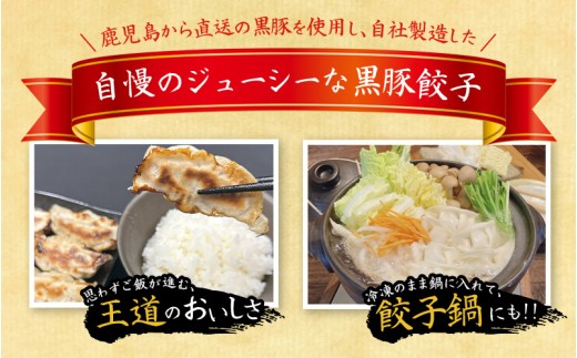 【定期便】黒豚 冷凍餃子 96個 【2ヵ月に1回×3回お届け！】/ グルメ 人気 おすすめ 餃子 惣菜 豚 肉 お肉 ぎょーざ 高評価餃子 おかず 晩ご飯 食品 加工品 大阪府 豊中市 焼き餃子 焼餃