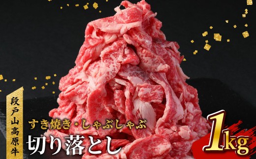 
                  国産ブランド牛 切り落とし 1Ｋｇ (200g×5） 小分け 段戸山高原牛 幻 牛 国産 牛肉 牛 スライス 地域 限定 小分け 大満足 赤身 肉 数量限定 肉 牛肉切り落とし 牛切り落とし 国産牛 ブランド牛 10000円 10,000円 -039
                