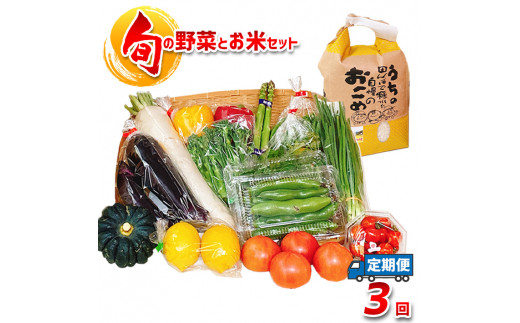 
【定期便3回】 旬の野菜とお米BOX
