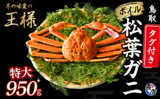 今だけ限定価格！【11月より値上げ】【先行予約】【魚倉】タグ付きボイル松葉ガニ（特大950g）冷蔵 カニ ボイル 松葉ガニ タグ付き 新鮮 ボイル ズワイガニ ずわいがに 鮮度抜群 高級 特大 国産 限定価格 限定寄付額 値上対象 鳥取県 倉吉市