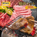 【ふるさと納税】【4月から順次発送】博多 和牛 焼肉 セット 500g A4～A5 配送不可：離島　【焼肉・バーベキュー・お肉・牛肉・バラ(カルビ)・ロース】　お届け：入金確認後2週間～1カ月。