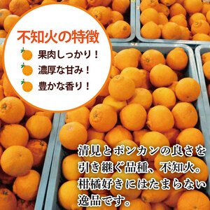 デコポン 不知火 約 5kg L 18個 または 2L 12個 みかん 蜜柑 柑橘 ジュース フルーツ 果物 デザート ケーキ アイス シャーベット ゼリー スイーツ お菓子 ギフト 送料無料 徳島県