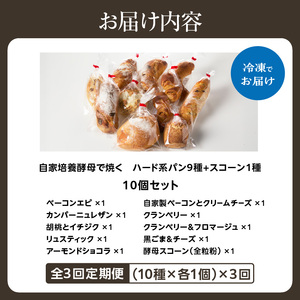 【全3回定期便】選べる回数！自家培養酵母で焼くハード系パン9種＋スコーン1種セット！065-04-T02