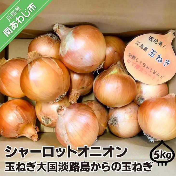 淡路島極熟玉葱　シャーロットオニオン【5kg】　玉ねぎ大国淡路島からの玉ねぎ