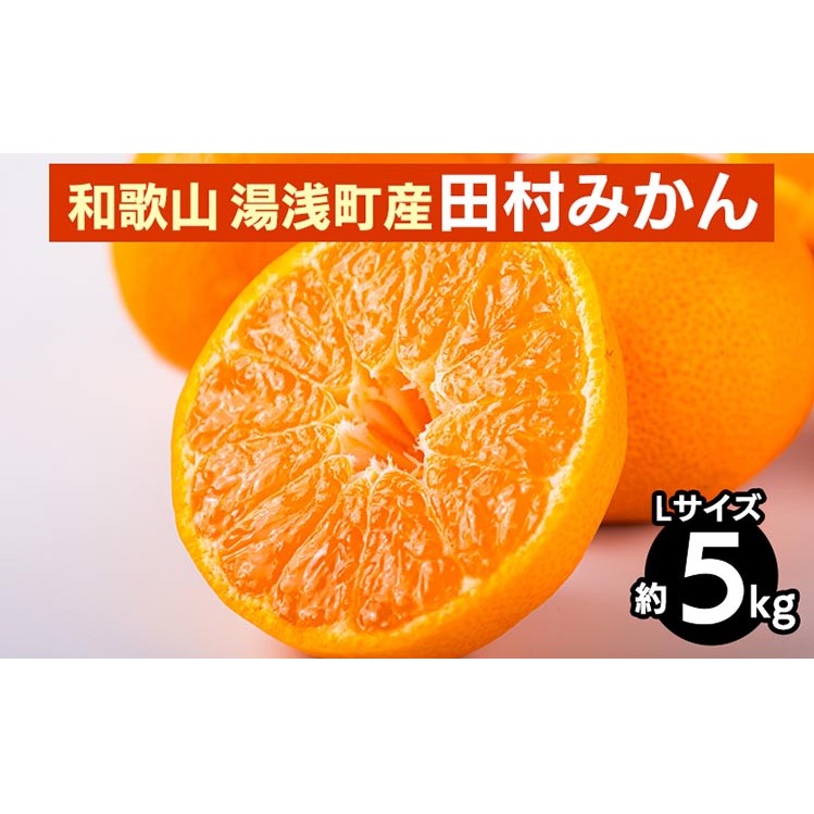 【先行予約】 田村みかん 約5kg 【Lサイズ】 和歌山県 湯浅町 田村地区産