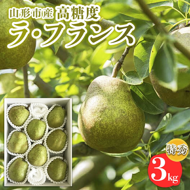 【ふるさと納税】山形市産【高糖度ラフランス】特秀品 3kg (6〜10玉) 極上フルーツ 洋梨 山形【令和8年産先行予約】FS24-821