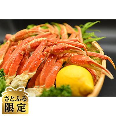 ふるさと納税 北見市 2代目漁師の厳選した茹でズワイ蟹合計2kgセット