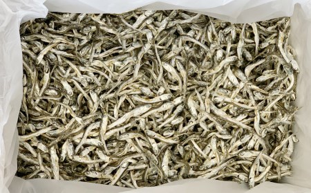 特選海の幸自然の味 小羽 いりこ（煮干し）1.8kg 大島海産