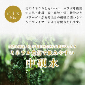 K-493 ＜定期便・全6回＞関平鉱泉水10L×2箱ずつお届け(計12箱)【関平鉱泉所】霧島市 シリカ シリカ水 水 シリカミネラルウォーター