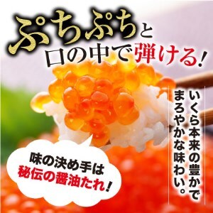【北海道産】いくら醤油漬 500g ふるさと納税 いくら F4F-3605